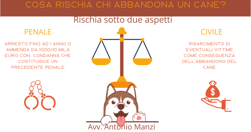 Un piccolo schema riassuntivo di ciò che comporta il reato di abbandono